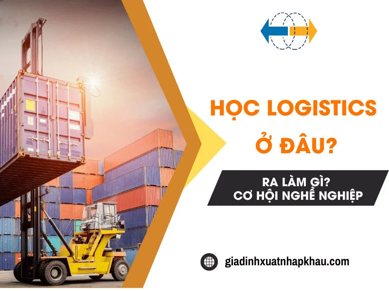 hoc-logistics-o-dau