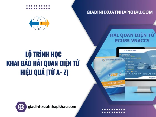 Lộ Trình Học Khai Báo Hải Quan Điện Tử Hiệu Quả [Từ A-Z]