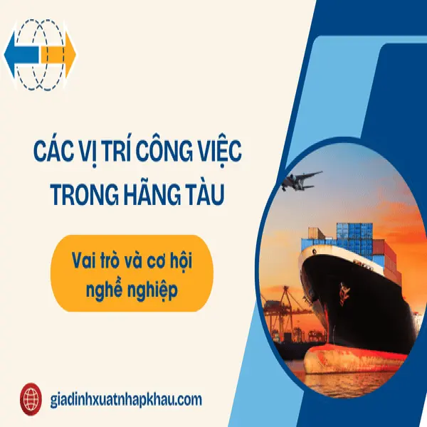 Các Vị Trí Công Việc Trong Hãng Tàu: Vai trò và cơ hội nghề nghiệp