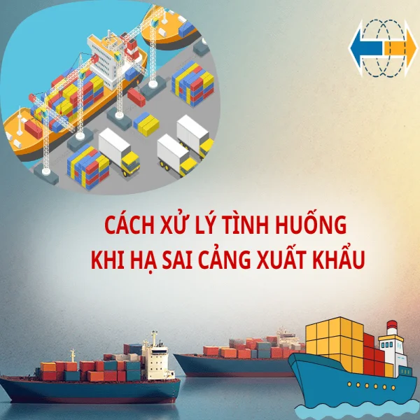 Cách Xử Lý Tình Huống Khi Hạ Sai Cảng Xuất Khẩu: Quy Trình, Thủ Tục Hải Quan.