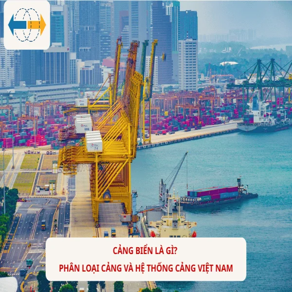 Cảng Biển Là Gì? Phân Loại Cảng Và Hệ Thống Cảng Việt Nam