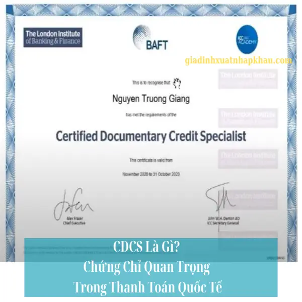 CDCS Là Gì? Ai Nên Học Và Có Nên Thi CDCS Không?