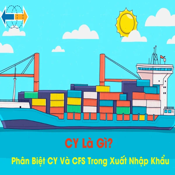 CY Là Gì? Phân Biệt CY Và CFS Trong Xuất Nhập Khẩu