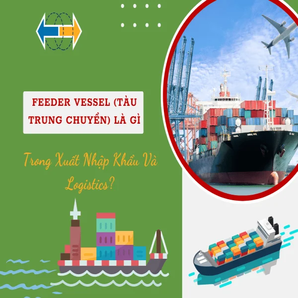 Feeder Vessel (Tàu Trung Chuyển) Là Gì Trong Xuất Nhập Khẩu Và Logistics?