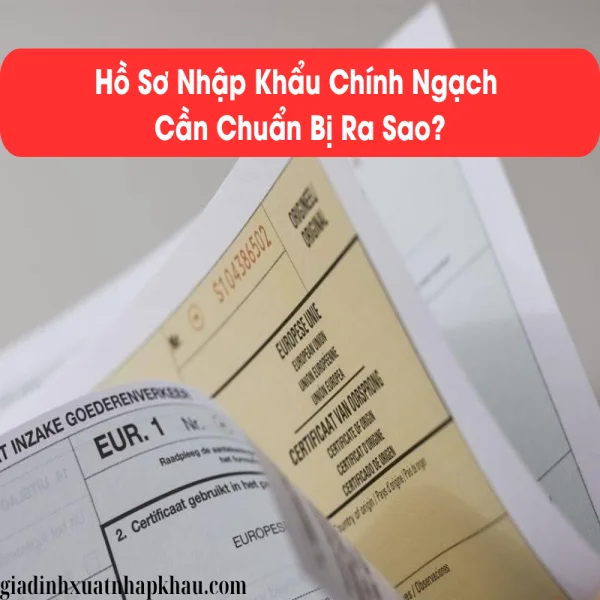 Hồ Sơ Nhập Khẩu Chính Ngạch Cần Chuẩn Bị Ra Sao?