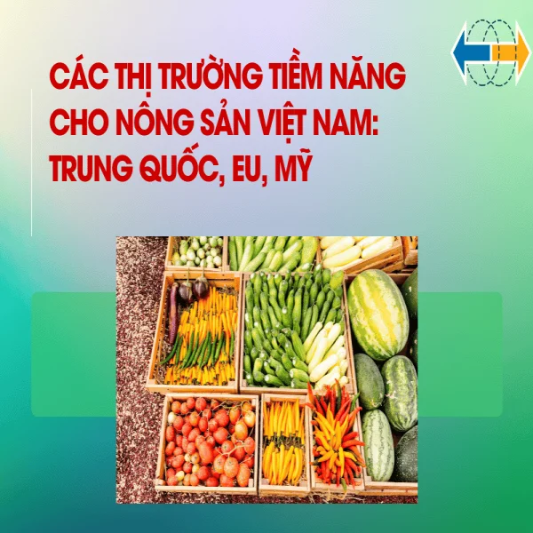 Các Thị Trường Tiềm Năng Cho Nông Sản Việt Nam: Trung Quốc, EU, Mỹ