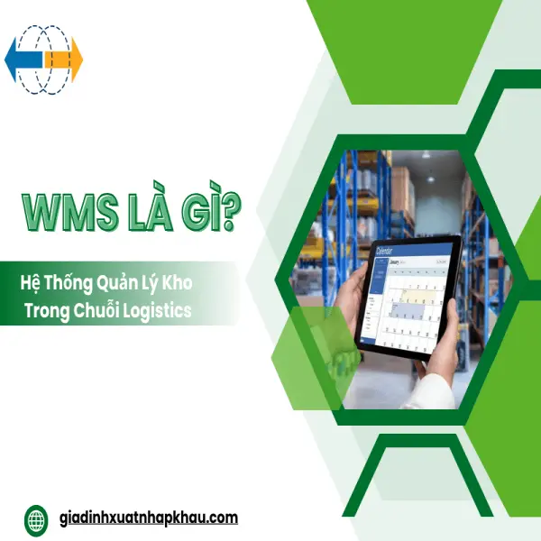 WMS Là Gì? Hệ Thống Quản Lý Kho Trong Chuỗi Logistics