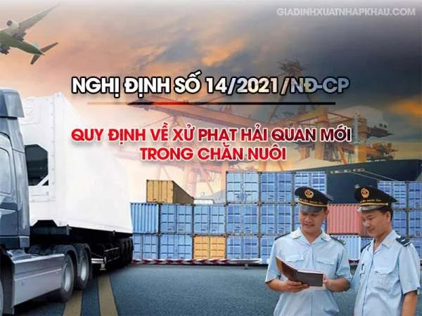 Nghị định số 14/2021/NĐ-CP về xử phạt Hải quan mới trong chăn nuôi