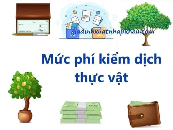 Mức phí kiểm dịch thực vật trong lĩnh vực nông nghiệp