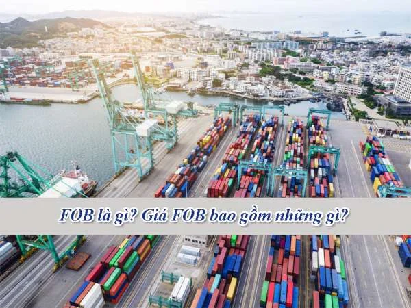 FOB là gì? Giá FOB là gì? Giá FOB bao gồm những gì?