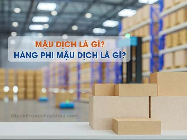 Mậu Dịch Là Gì? Hàng Phi Mậu Dịch Là Gì?