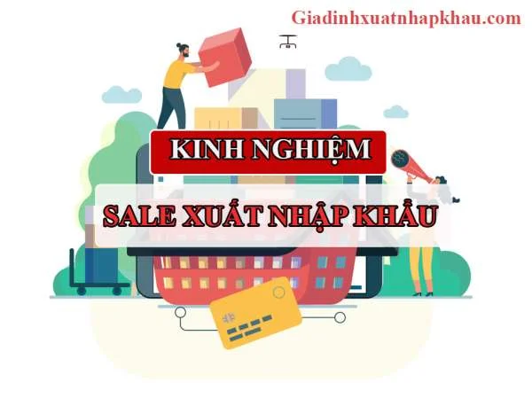 SALE Xuất Nhập Khẩu Là Gì? Chia Sẻ Kinh Nghiệm Làm SALE Xuất Nhập Khẩu