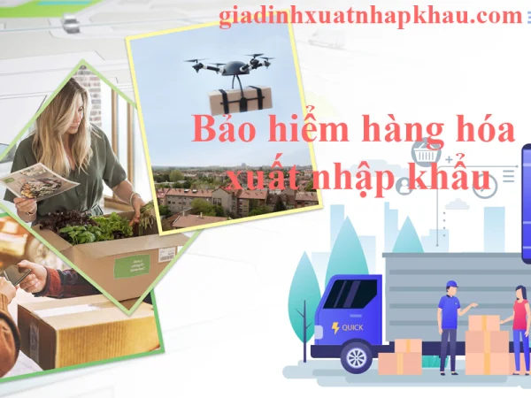 Nội Dung Cơ Bản Của Bảo Hiểm Xuất Nhập Khẩu