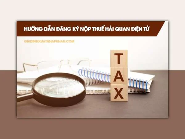 Hướng Dẫn Đăng Ký Nộp Thuế Hải Quan Điện Tử