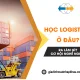 Học Logistics Ở Đâu? Ra Làm Gì? Cơ Hội Nghề Nghiệp