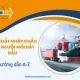 Học Xuất Nhập Khẩu Cho Người Mới Bắt Đầu [Hướng Dẫn A-Z]