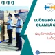 Luồng Đỏ Hải Quan Là Gì? Quy Trình Kiểm Hóa Luồng Đỏ