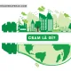 CBAM Là Gì? Vì Sao EU Áp Dụng Cơ Chế Điều Chỉnh Biên Giới Carbon
