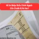 Hồ Sơ Nhập Khẩu Chính Ngạch Cần Chuẩn Bị Ra Sao?