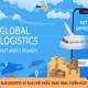 Sale Logistics và Sale Xuất Khẩu: Khác Nhau Ở Điểm Nào?
