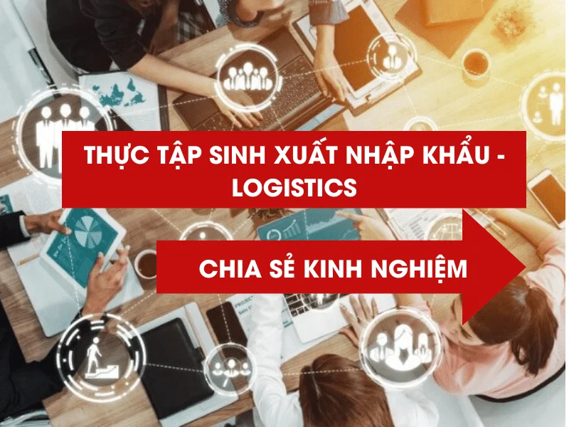 Thực Tập Sinh Xuất Nhập Khẩu - Logistics