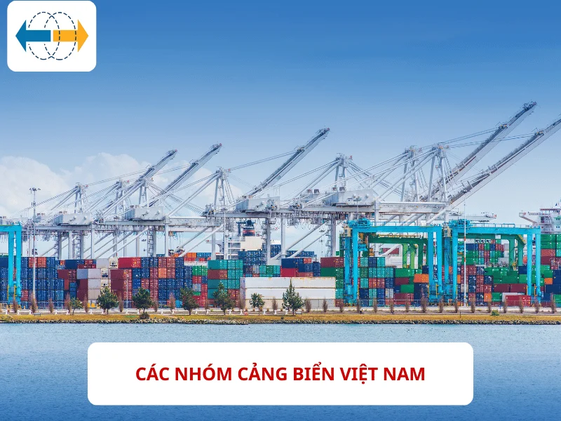 CAC-NHOM-CANG-BIEN-VIET-NAM
