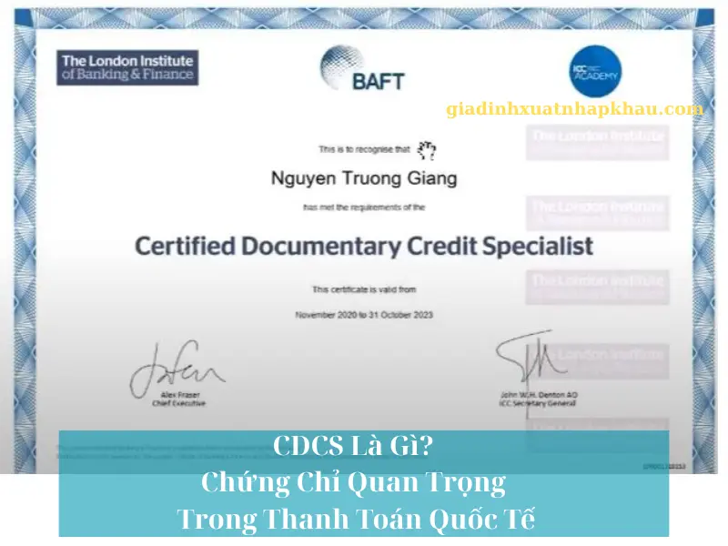 cdcs-la-gi-chung-chi-quan-trong-trong-thanh-toan-quoc-te-1