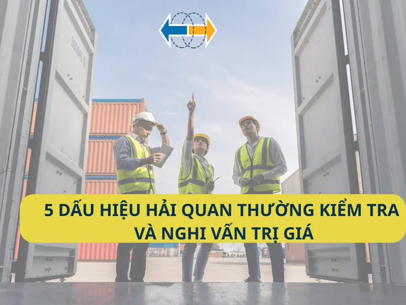 dau-hieu-hai-quan-kiem-tra-va-nghi-van-tri-gia