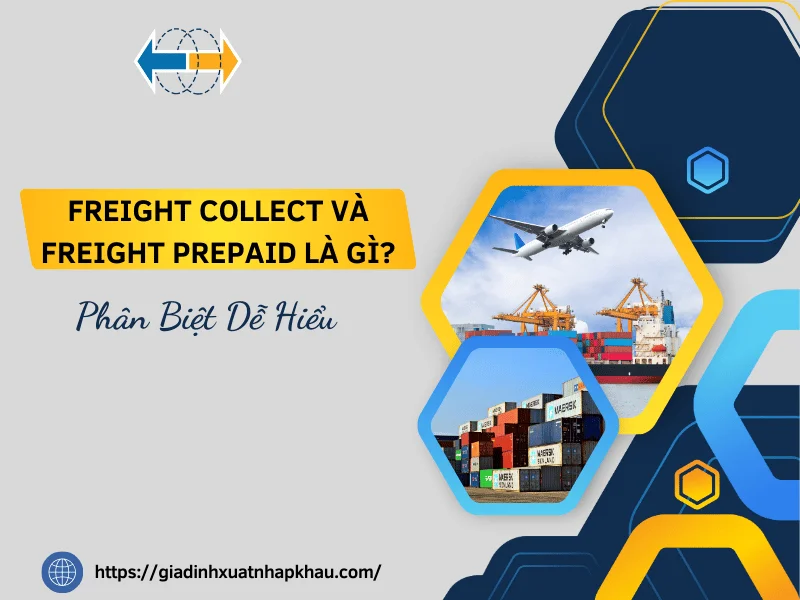 Freight-Collect-va-Freight-Prepaid-la-gi