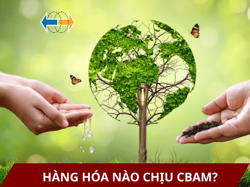 hang-hoa-nao-chiu-cbam