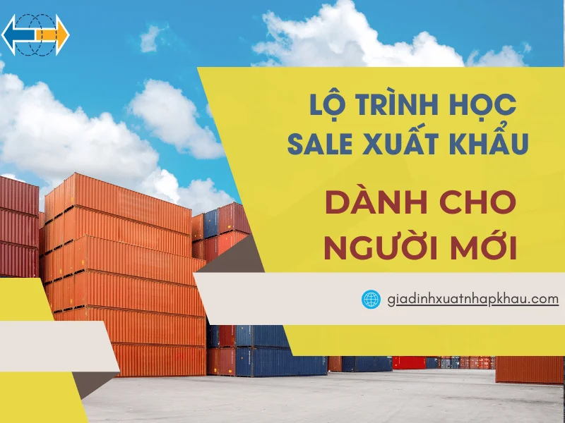 lo-trinh-hoc-sale-xuat-khau-danh-cho-nguoi-moi
