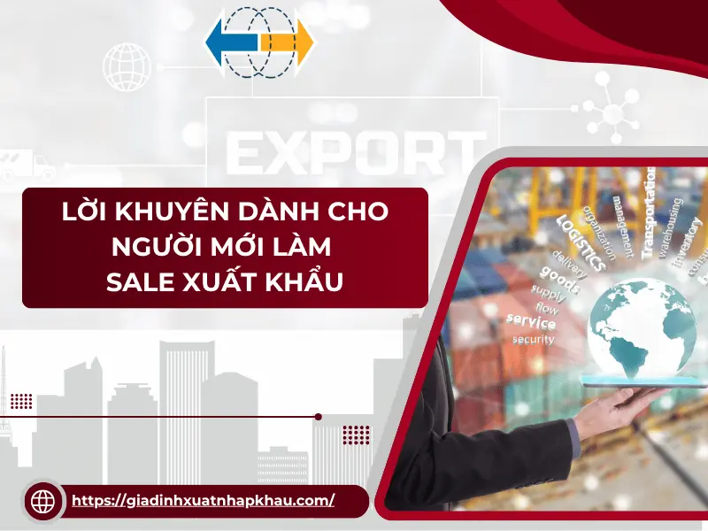loi-khuyen-danh-cho-nguoi-moi-lam-sale-xuat-khau