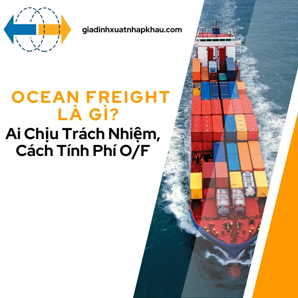 ocean-freight-la-gi-ai-chiu-trach-nhiem-cach-tinh-phi-of-1