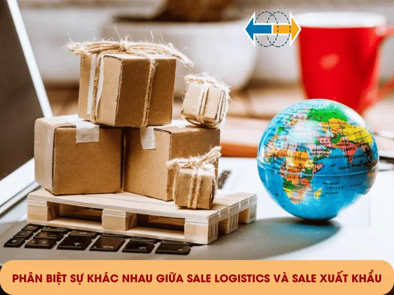 phan-biet-su-khac-nhau-giua-sale-xuat-khau-va-sale-logistics-1