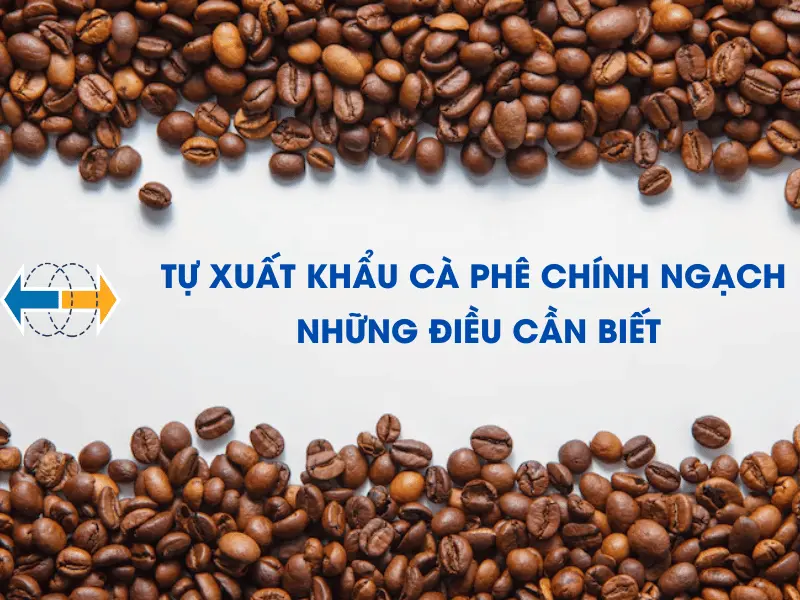 tu-xuat-khau-ca-phe-chinh-ngach