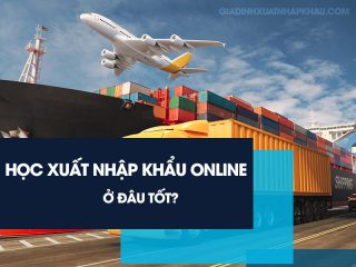 Học xuất nhập khẩu online ở đâu tốt?