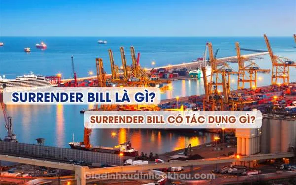 Surrender Bill Là Gì? Surrender Bill Có Tác Dụng Gì?